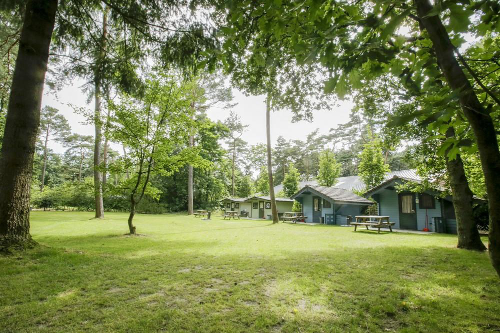 de Paal Brabante Settentrionale - Bergeijk visuel 5/6