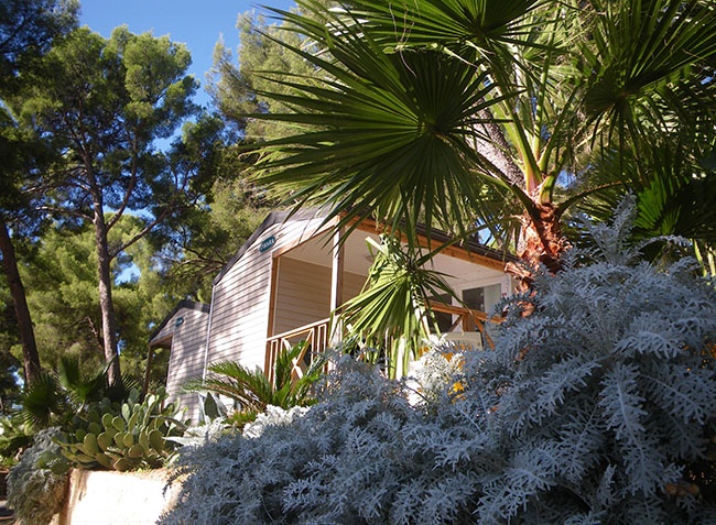 de Ceyreste Provenza-Alpi-Costa Azzurra - Ceyreste visuel 2/7 de Ceyreste Provenza-Alpi-Costa Azzurra - Ceyreste visuel 2/7