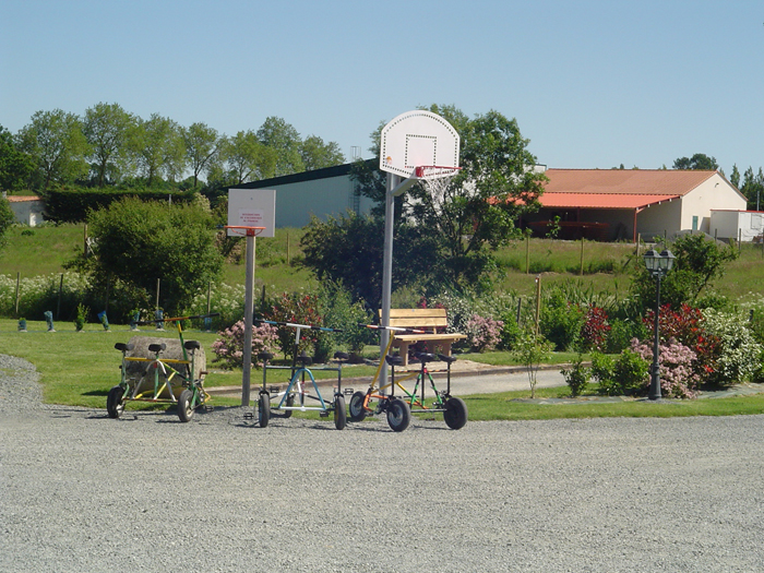 Camping de la Motte Paesi della Loira - Vendrennes visuel 4/11