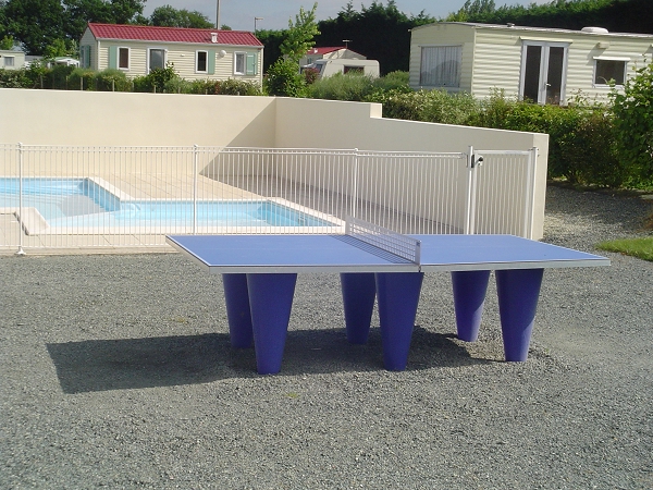 Camping de la Motte Paesi della Loira - Vendrennes visuel 11/11