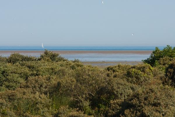 La Plage Nord-Passo di Calais - Marck visuel 9/10 La Plage Nord-Passo di Calais - Marck visuel 9/10