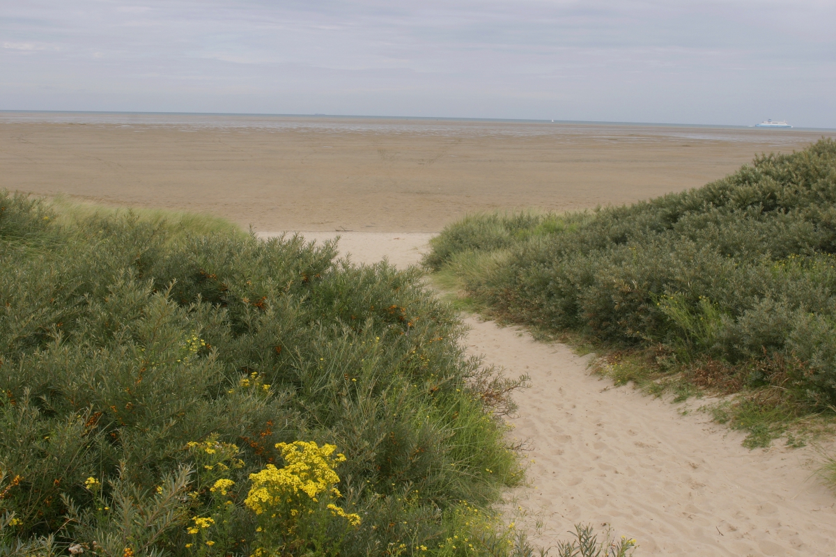 La Plage Nord-Passo di Calais - Marck visuel 2/10 La Plage Nord-Passo di Calais - Marck visuel 2/10