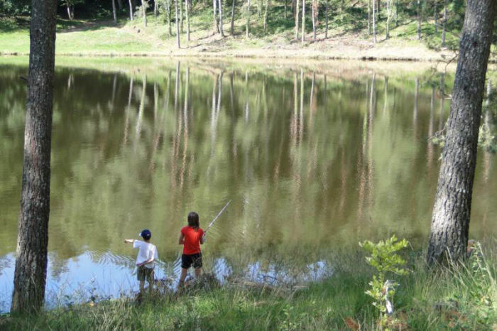 Camping de La Plage Limosino - Soursac visuel 10/10