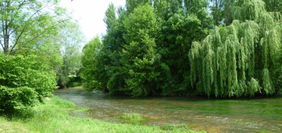 Camping de la Tête Noire Centro-Valle della Loira - Buzançais visuel 2/3 Camping de la Tête Noire Centro-Valle della Loira - Buzançais visuel 2/3