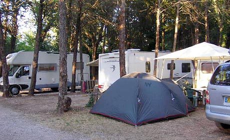 Camping de la Vallée de Taradeau Provenza-Alpi-Costa Azzurra - Taradeau visuel 3/9