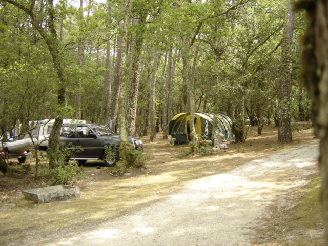 Camping de l'Ermitage Aquitania - Lacanau visuel 1/1 Camping de l'Ermitage Aquitania - Lacanau visuel 1/1