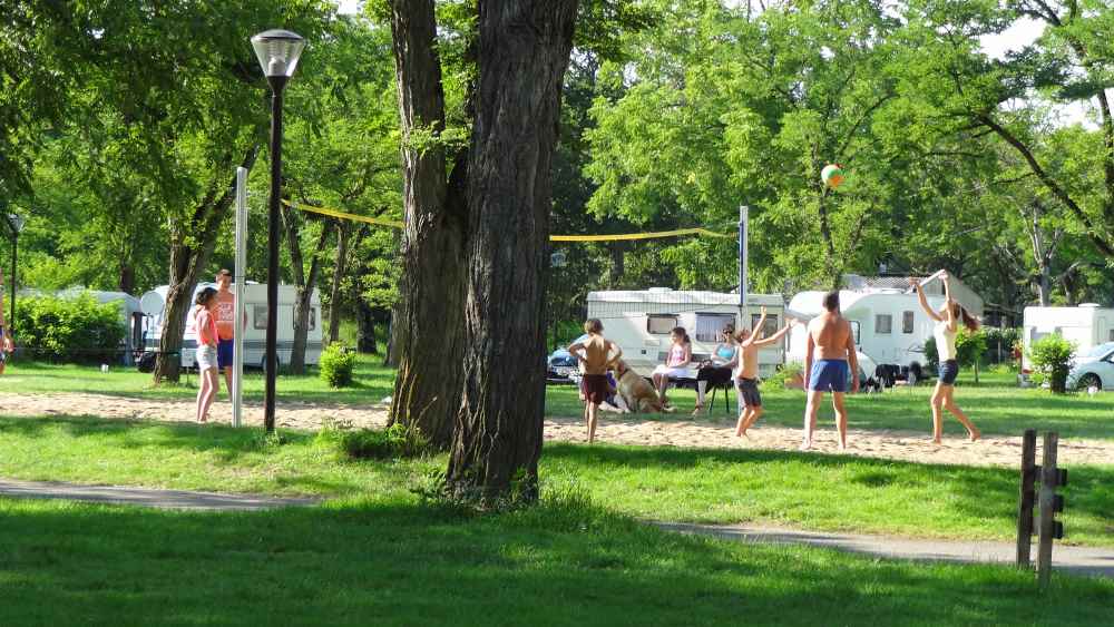 Camping de l'île Centro-Valle della Loira - Bannay visuel 4/13 Camping de l'île Centro-Valle della Loira - Bannay visuel 4/13