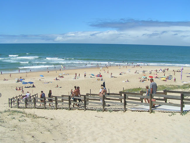 Camping de Moïsan Aquitania - Messanges visuel 3/8