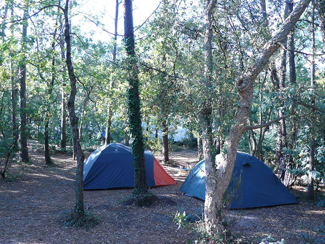 Camping de Moïsan Aquitania - Messanges visuel 7/8