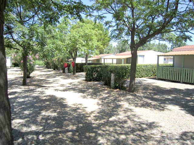 Camping de Montrose Linguadoca-Rossiglione - Pézenas visuel 8/11
