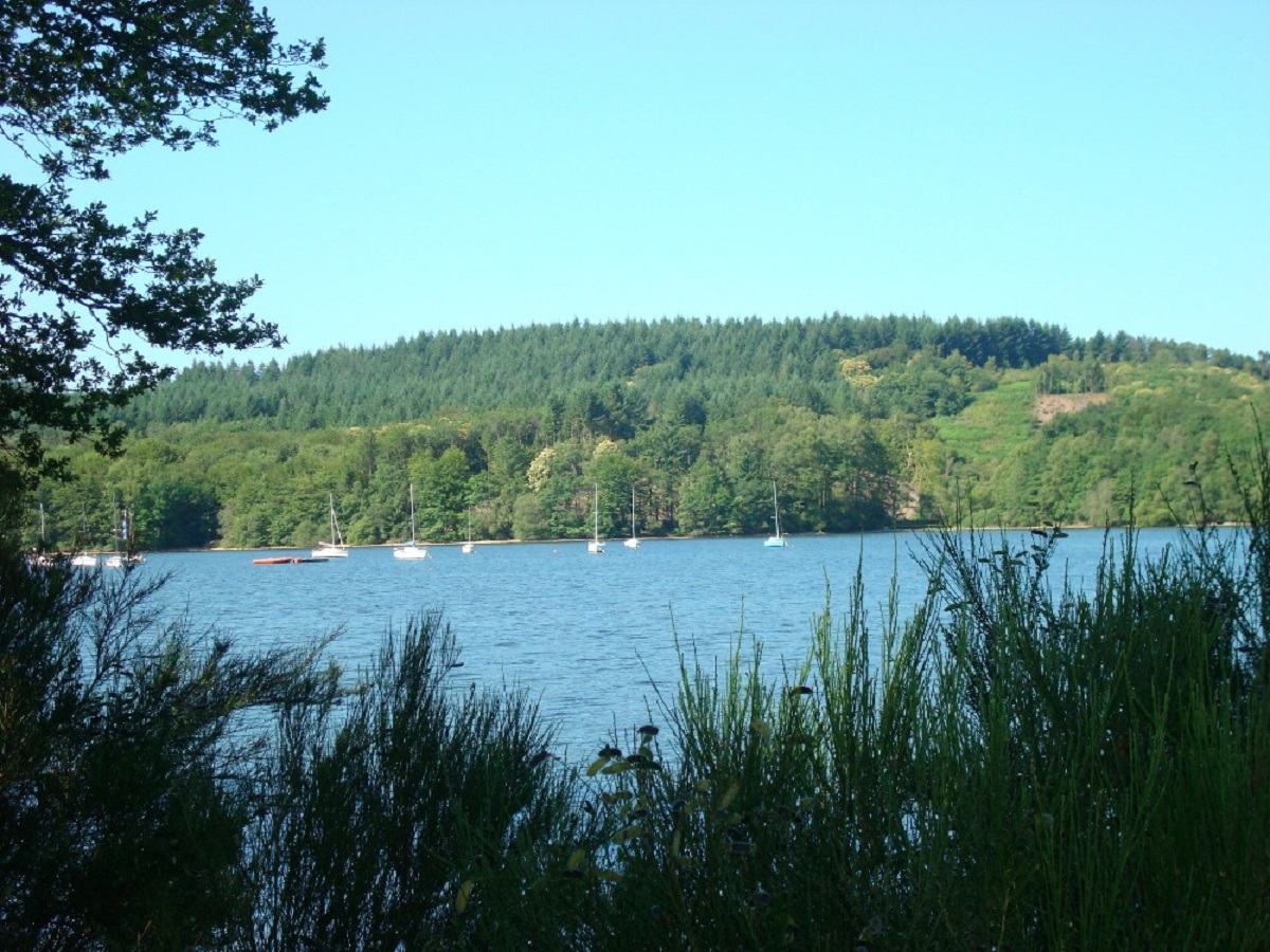 Camping de Santrop Limosino - Razès visuel 2/7