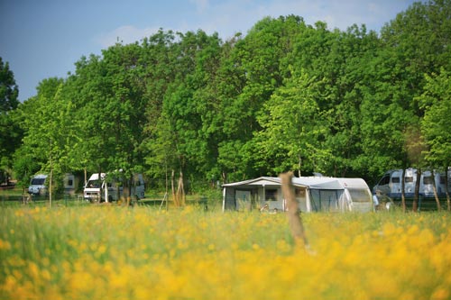 Camping de Tournus Bourgogne - Tournus visuel 2/8