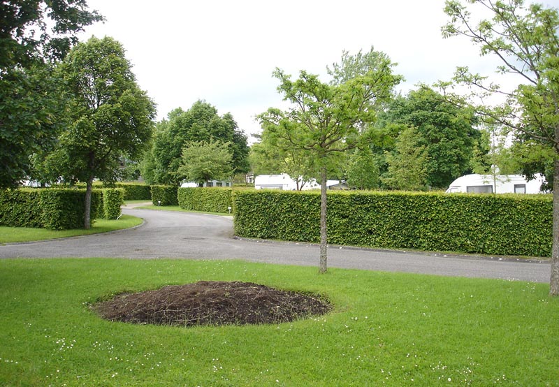 Camping de Vittel Lorena - Vittel visuel 2/10