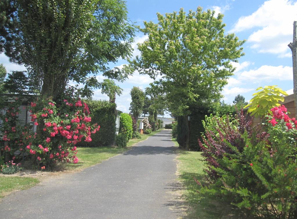 Camping des 4 Plages Nord-Passo di Calais - Conchil-le-Temple visuel 1/1 Camping des 4 Plages Nord-Passo di Calais - Conchil-le-Temple visuel 1/1