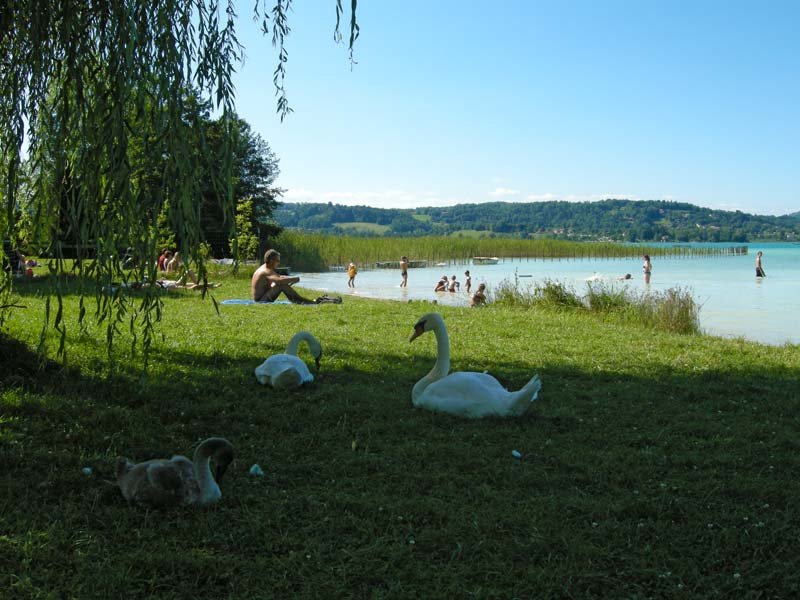 des Chavannes Rodano-Alpi - Novalaise visuel 2/6 des Chavannes Rodano-Alpi - Novalaise visuel 2/6