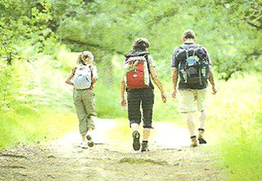 des Lacs Poitou-Charentes - Pressignac visuel 1/9 des Lacs Poitou-Charentes - Pressignac visuel 1/9