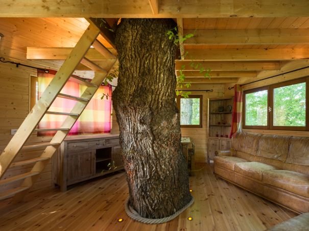 Domaine Arvor Bretagna - Lanvallay visuel 4/11