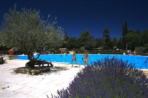Domaine de Belezy Domaine Naturiste - Provenza-Alpi-Costa Azzurra - Bédoin visuel 1/4 Domaine de Belezy Domaine Naturiste - Provenza-Alpi-Costa Azzurra - Bédoin visuel 1/4