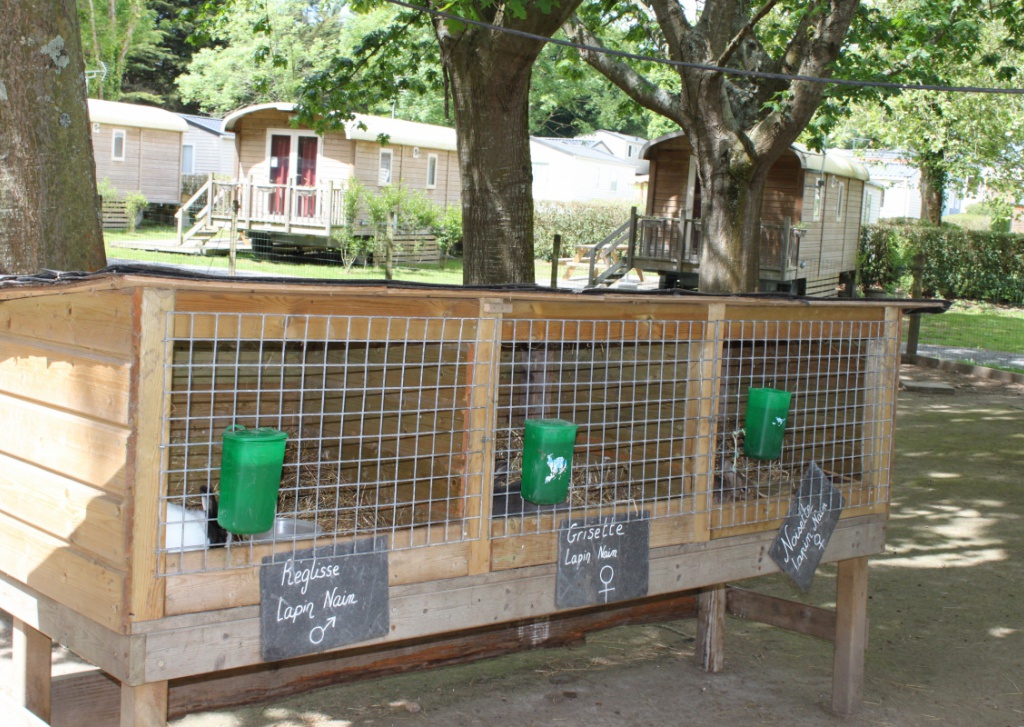 Domaine de Bréhadour Paesi della Loira - Guérande visuel 7/10