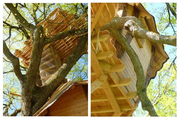 Domaine de Chaligny Bourgogne - Saint-André-en-Morvan visuel 5/10 Domaine de Chaligny Bourgogne - Saint-André-en-Morvan visuel 5/10