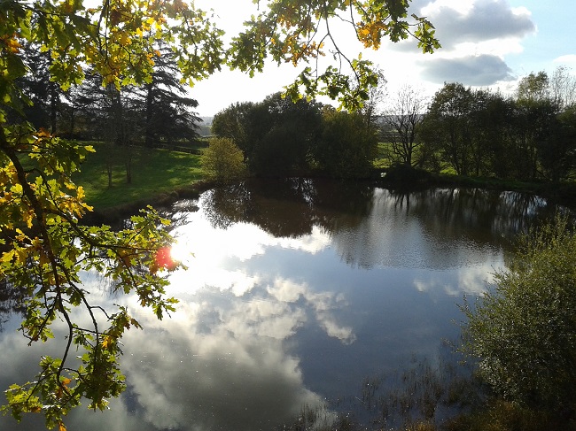 Domaine de Chaligny Bourgogne - Saint-André-en-Morvan visuel 8/10 Domaine de Chaligny Bourgogne - Saint-André-en-Morvan visuel 8/10