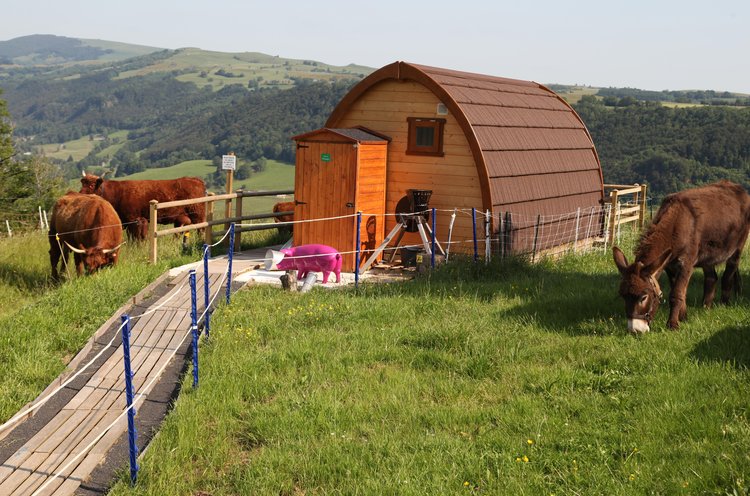 Domaine de Chaux Revel Alvernia - Saint-Martin-Valmeroux visuel 3/7