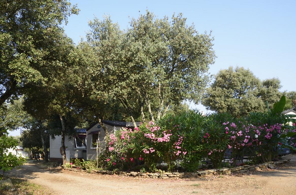 Domaine de Gajan Linguadoca-Rossiglione - Boisseron visuel 2/10