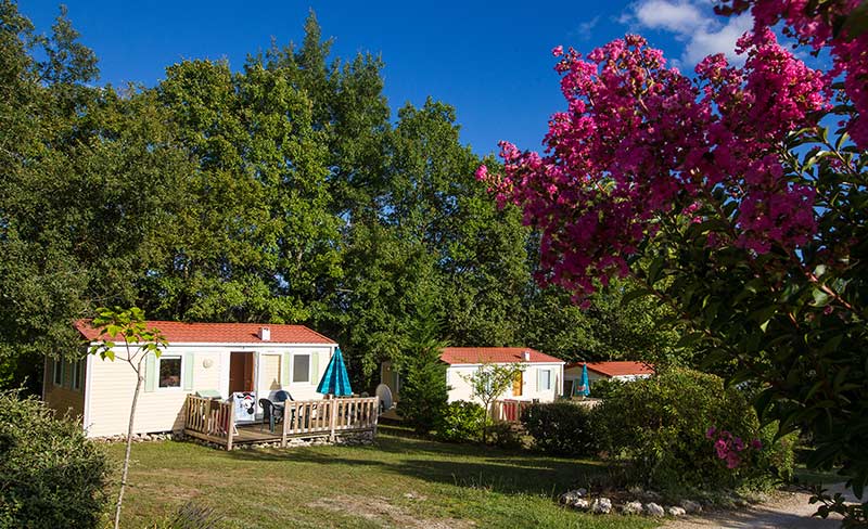 Domaine de la Faurie Midi-Pirenei - Séniergues visuel 14/16