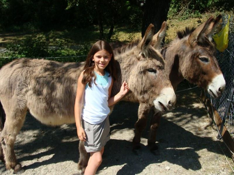 Domaine de La Gautière Rodano-Alpi - La Penne-sur-l'Ouvèze visuel 5/6 Domaine de La Gautière Rodano-Alpi - La Penne-sur-l'Ouvèze visuel 5/6
