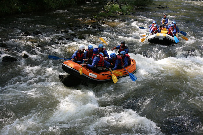 Domaine de la Mare aux Fées Linguadoca-Rossiglione - Roquefeuil visuel 5/6 Domaine de la Mare aux Fées Linguadoca-Rossiglione - Roquefeuil visuel 5/6