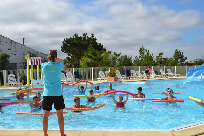 Domaine de la Michelière Paesi della Loira - Givrand visuel 7/10