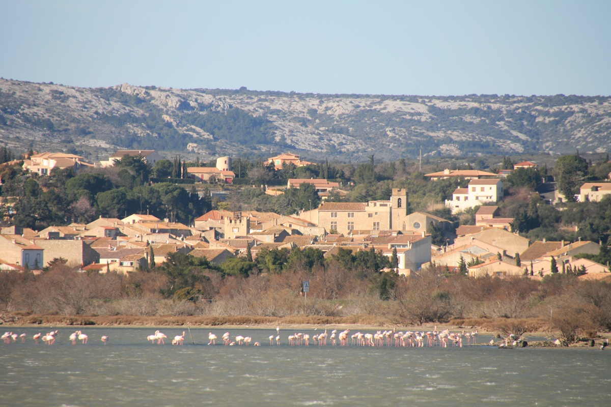 Domaine de la Palme Linguadoca-Rossiglione - La Palme visuel 7/10