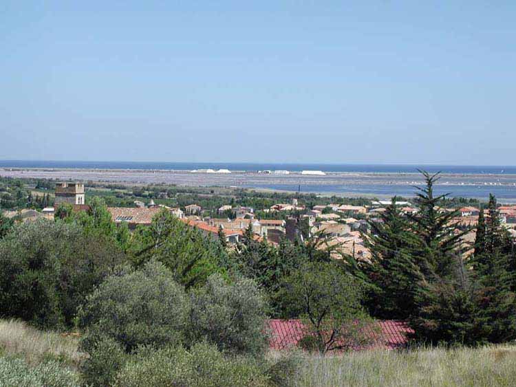 Domaine de la Palme Linguadoca-Rossiglione - La Palme visuel 9/10