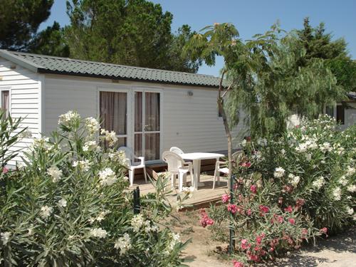 Domaine de la Pinède Enchantée Linguadoca-Rossiglione - Argelès-sur-Mer visuel 4/8 Domaine de la Pinède Enchantée Linguadoca-Rossiglione - Argelès-sur-Mer visuel 4/8