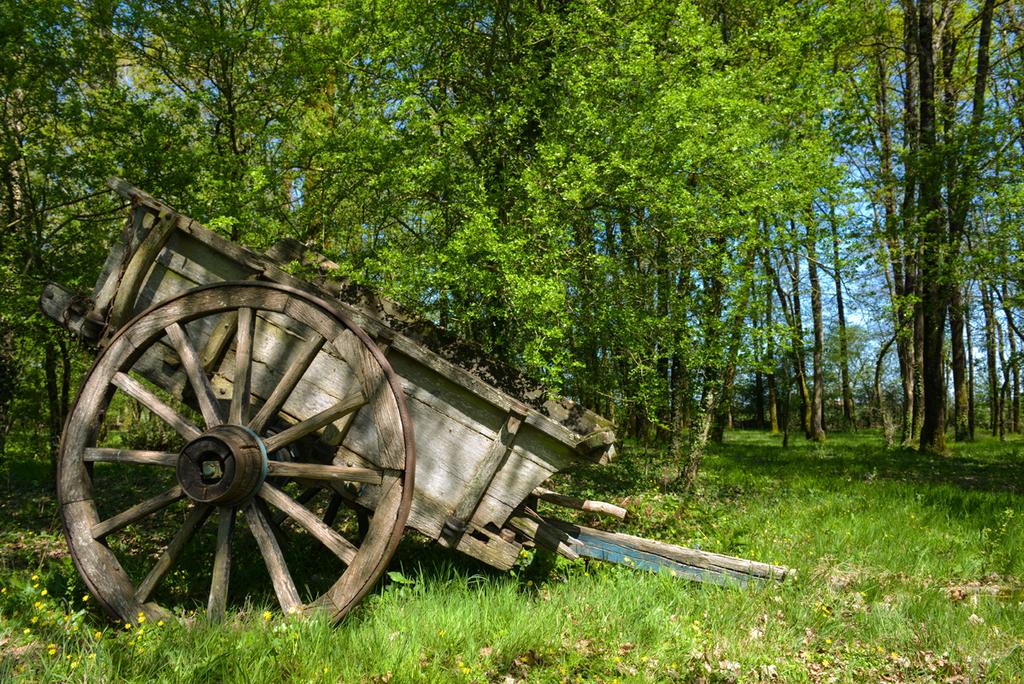 Domaine de l’Oiselière Paesi della Loira - Chauché visuel 16/20 Domaine de l’Oiselière Paesi della Loira - Chauché visuel 16/20