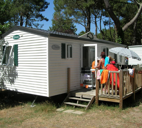 Domaine de Pont-Mahé Paesi della Loira - Assérac visuel 4/10