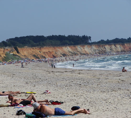 Domaine de Pont-Mahé Paesi della Loira - Assérac visuel 5/10