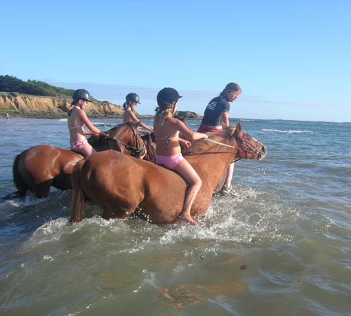 Domaine de Pont-Mahé Paesi della Loira - Assérac visuel 6/10
