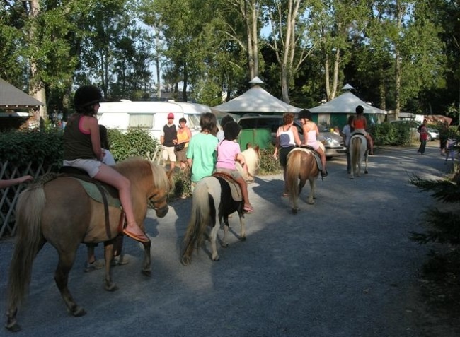 Domaine de Pont-Mahé Paesi della Loira - Assérac visuel 9/10