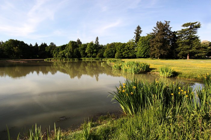 Domaine de Seillac Centro-Valle della Loira - Seillac visuel 2/10 Domaine de Seillac Centro-Valle della Loira - Seillac visuel 2/10