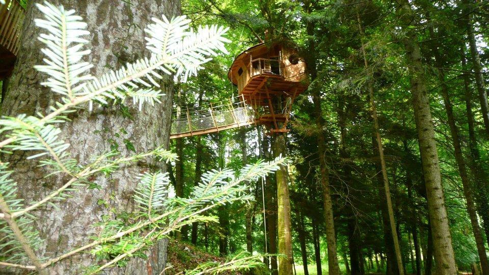 Domaine de Syam Franca Contea - Syam visuel 16/19