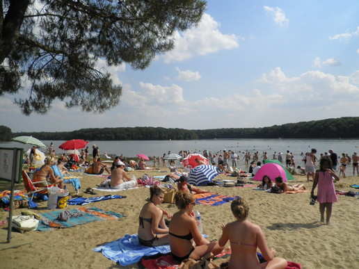 Domaine de Trémelin Bretagna - Iffendic visuel 1/10 Domaine de Trémelin Bretagna - Iffendic visuel 1/10