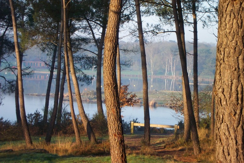 Domaine de Trémelin Bretagna - Iffendic visuel 6/10 Domaine de Trémelin Bretagna - Iffendic visuel 6/10