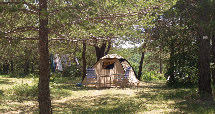 Domaine d'Enriou Provenza-Alpi-Costa Azzurra - Saint-Laurent-du-Verdon visuel 4/9