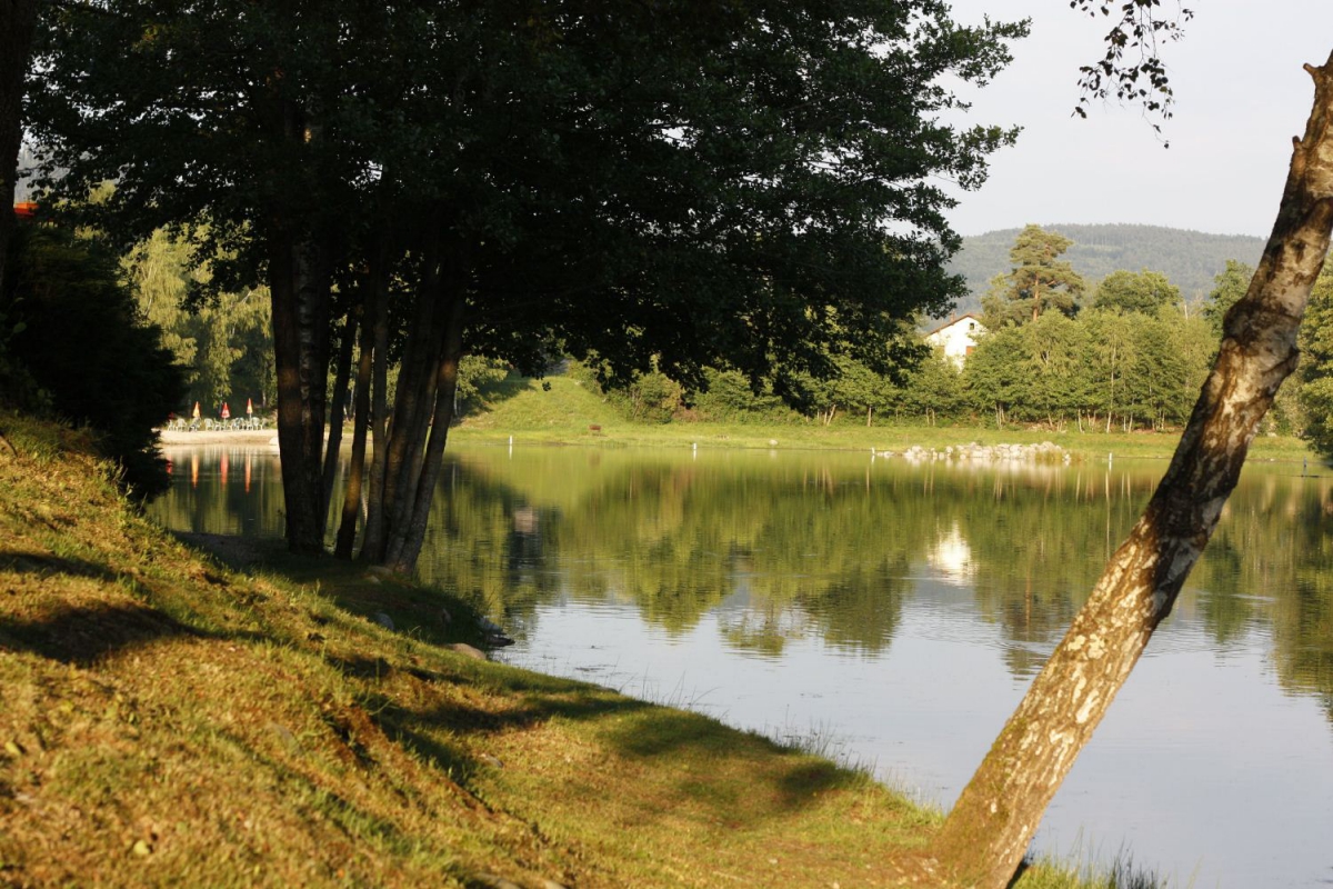 Domaine des Messires Lorena - Herpelmont visuel 5/8 Domaine des Messires Lorena - Herpelmont visuel 5/8