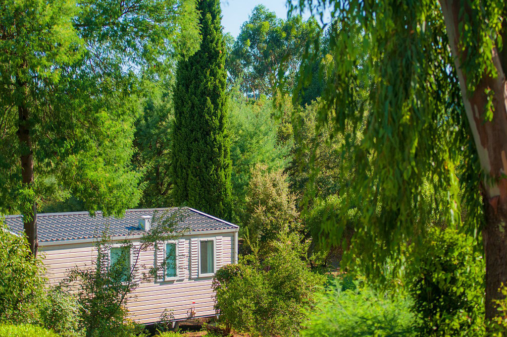 Domaine des Naïades Provenza-Alpi-Costa Azzurra - Grimaud visuel 11/14 Domaine des Naïades Provenza-Alpi-Costa Azzurra - Grimaud visuel 11/14