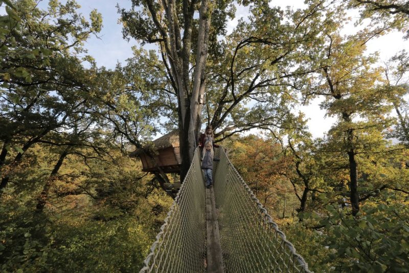 Domaine des Vaulx Paesi della Loira - La Baconnière visuel 12/16