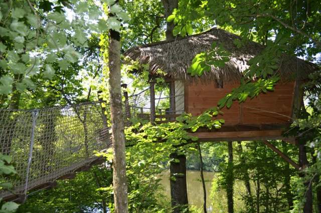 Domaine des Vaulx Paesi della Loira - La Baconnière visuel 8/16