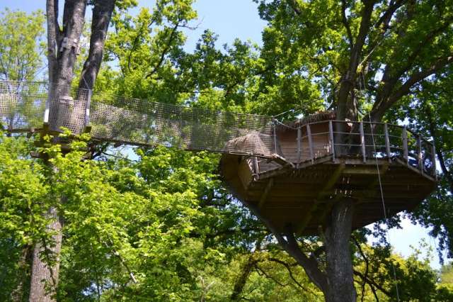 Domaine des Vaulx Paesi della Loira - La Baconnière visuel 9/16