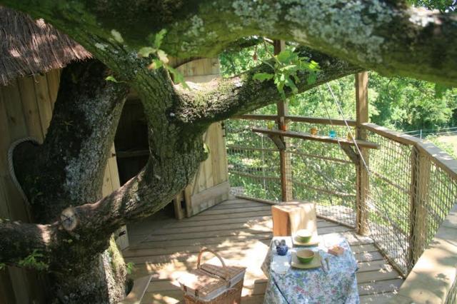 Domaine des Vaulx Paesi della Loira - La Baconnière visuel 7/16